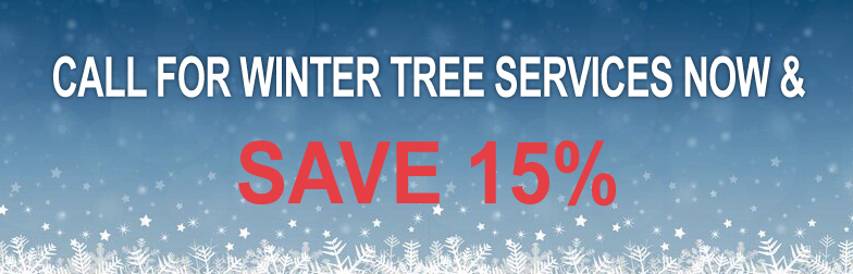 Aerial-Tree-Services-Winter-Tree-Maintenance