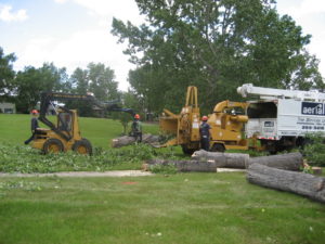 Aerial Tree Services photo 2