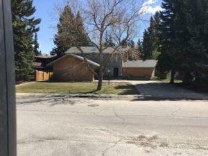 Aerial Tree Services photo 5