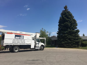 Aerial Tree Services