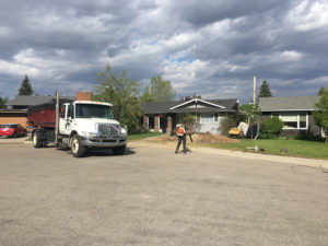 Aerial Tree Services