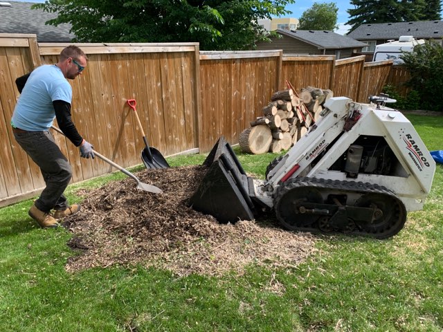 Aerial Tree Services Calgary offers tree stump removal and stump grinding services to improve the value of your property. 
