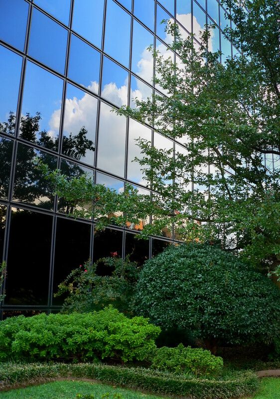 Aerial Tree Services Calgary offers tree care essential to maintaining the beauty and safety of your commercial property.