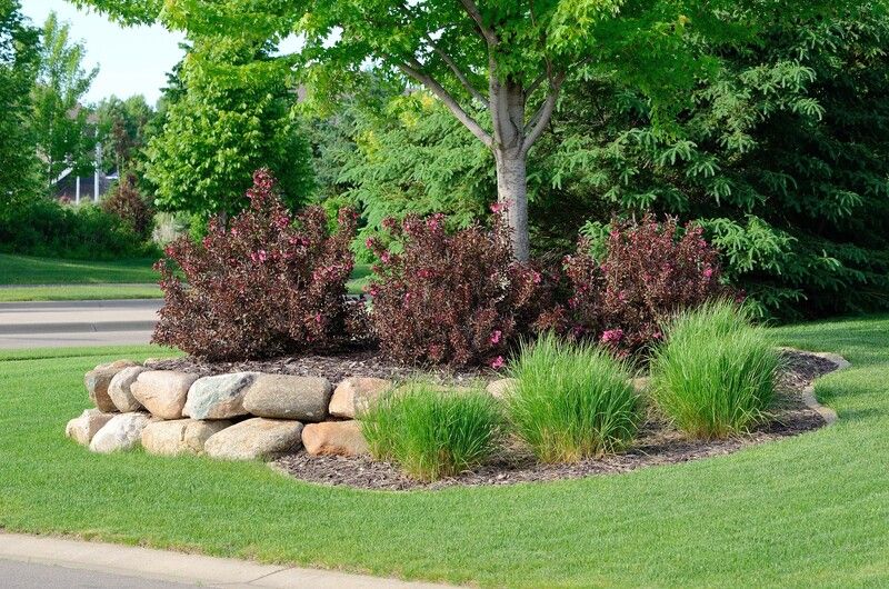 Aerial Tree Services Calgary offers regular maintenance trimming to help maintain the health of your hedges and shrubs.