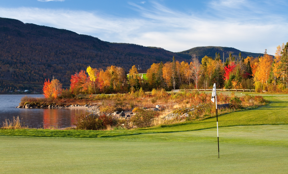 Aerial Tree Services Fall Golf Course Tree Care