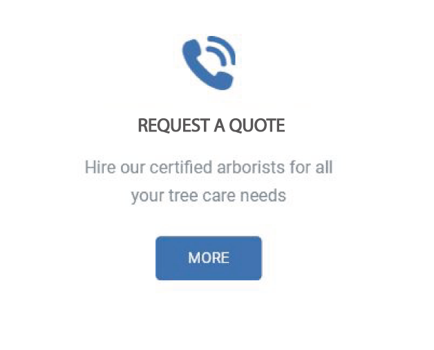 Quote